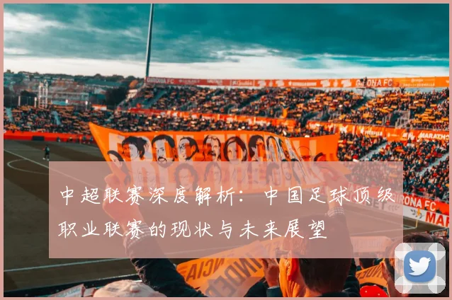中超联赛深度解析:中国足球顶级职业联赛的现状与未来展望