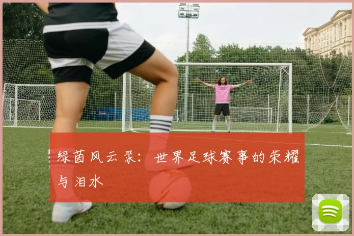 绿茵风云录:世界足球赛事的荣耀与泪水
